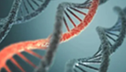 肿瘤易感基因检测