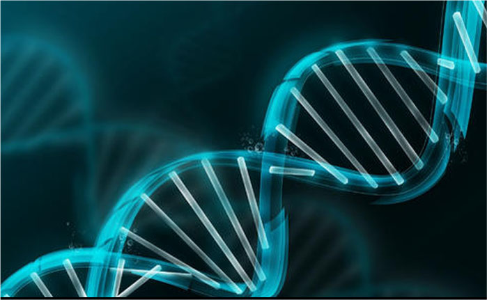 202105191062.jpg 4.jpg