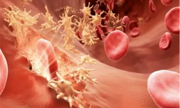 202109251107.jpg 未标题-4.jpg