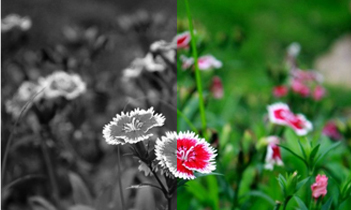 202109251639.jpg 未标题-5.jpg