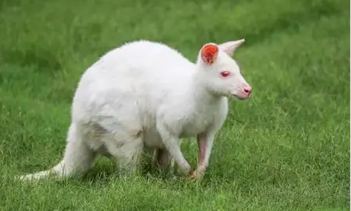 202109252337.jpg 未标题-2.jpg